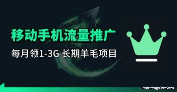 手机流量领取推广，每月一轮，刚需类的长期项目