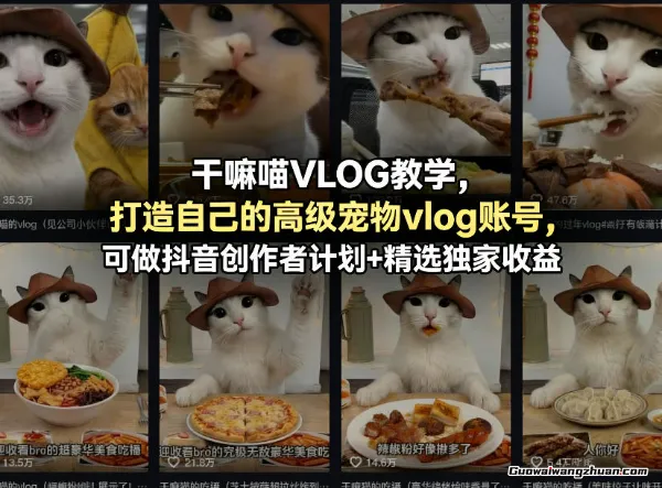 干嘛喵VLOG教学，打造自己的高级宠物vlog账号，可做抖音创作者计划+精选独家收益
