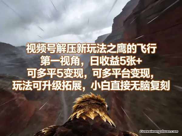 视频号解压新玩法之鹰的飞行第一视角，日收益5张+，可多平台变现，玩法可升级拓展，小白直接无脑复刻
