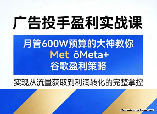 广告投手盈利实战课，月管600W预算的大神教你Meta+谷歌盈利策略，实现从流量获取到利润转化的完整掌控