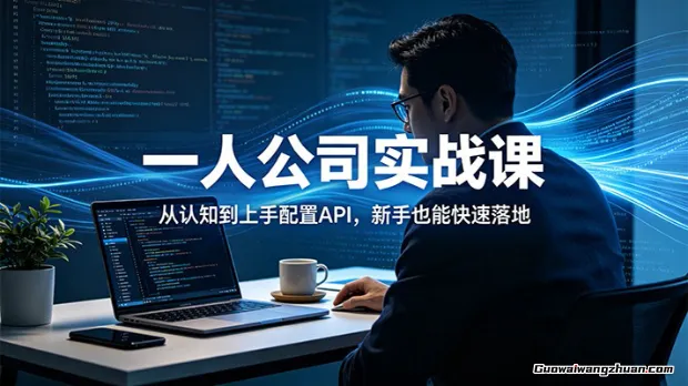 一人公司实战课：从认知到上手配置API，新手也能快速落地
