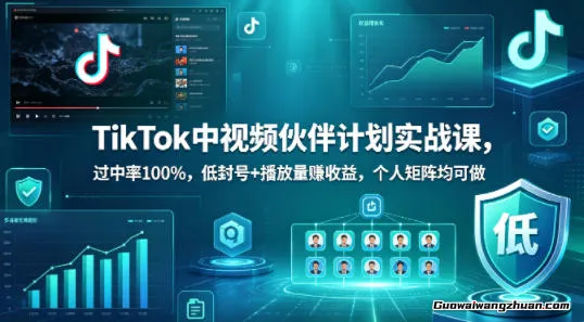 TikTok中视频伙伴计划实战课，过中率100%，低封号+播放量賺收益，个人矩阵均可做