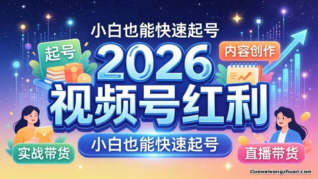 2026视频号红利实战营，大佬亲授起号、内容、直播、IP、投流、私域、矩阵全套落地打法