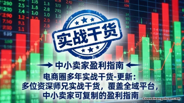 电商圈多年实战干货：多位师兄实战干货/覆盖全域平台，中小卖家可复制的盈利指南