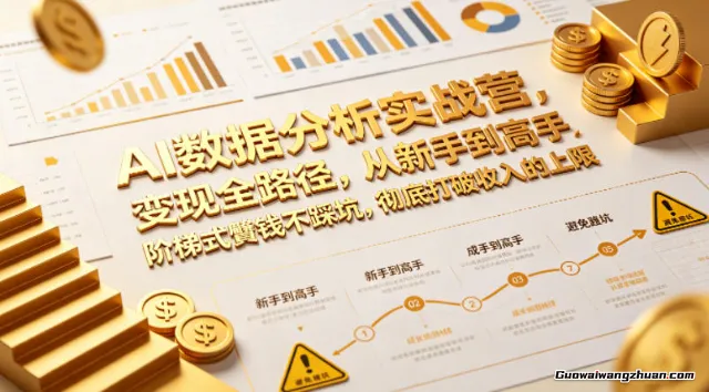 AI数据分析实战营，变现全路径，从新手到高手，阶梯式赚钱不踩坑，打破收入的上限