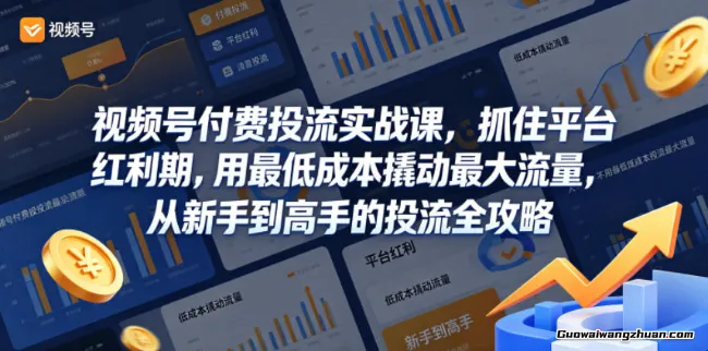 视频号付费投流实战课，抓住平台红利期，用最低成本撬动最大流量，从新手到高手的投流全攻略