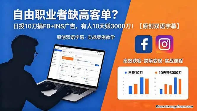 自由职业者缺高客单？日投10刀搞FB+INS广告，有人10天赚3000刀【原创双语字幕】