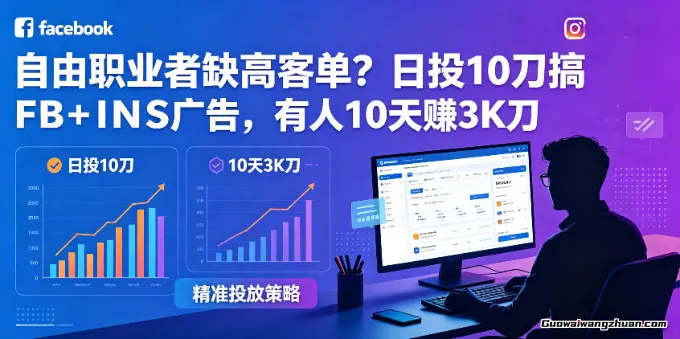 自由职业者缺高客单？日投10刀搞FB+INS广告，有人10天赚3000刀【原创双语字幕】