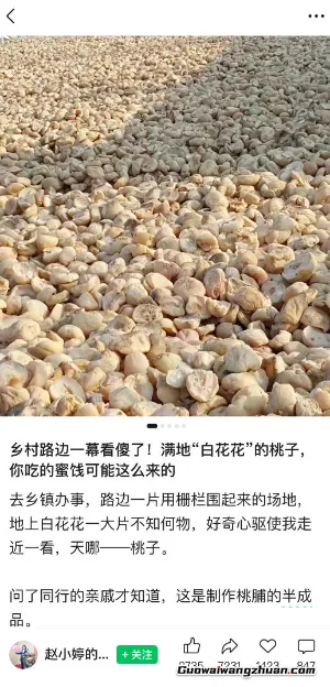 公众号小绿书贴图项目，赚收益实操玩法，听话照听话照少走90%弯路丨副业可做