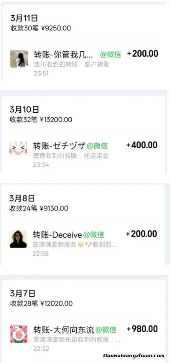 宠物托运阳光赛道赚钱教学,小众高刚需冷门项目,日均10单稳定盈利,单均利润200+
