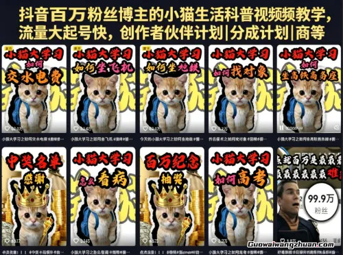 抖音百万粉丝博主的小猫生活科普视频教学，流量大起号快，创作者伙伴计划|分成计划|商单|收徒等